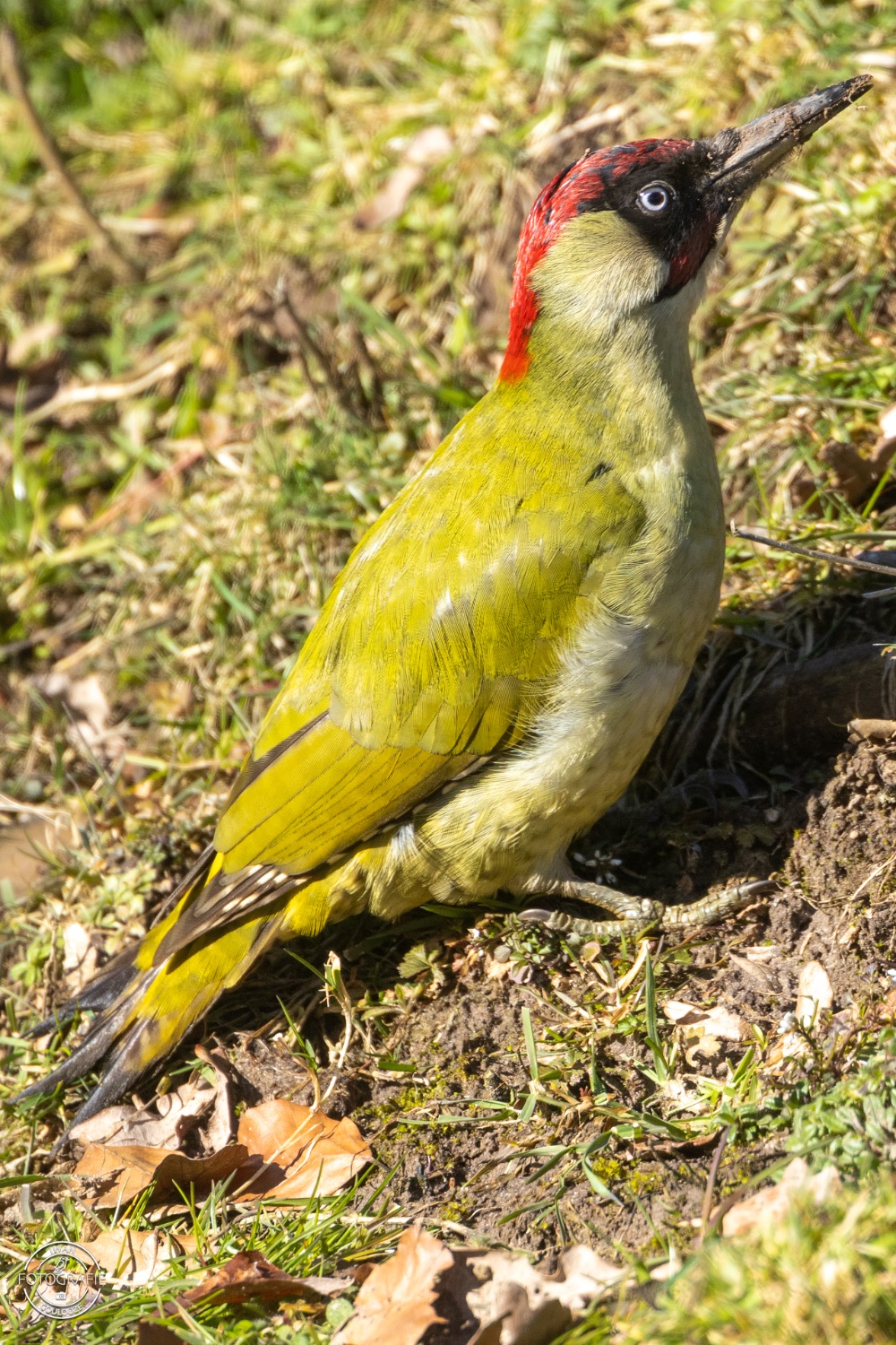 11 maart 2023 140625 1R2A0575 bewerkt